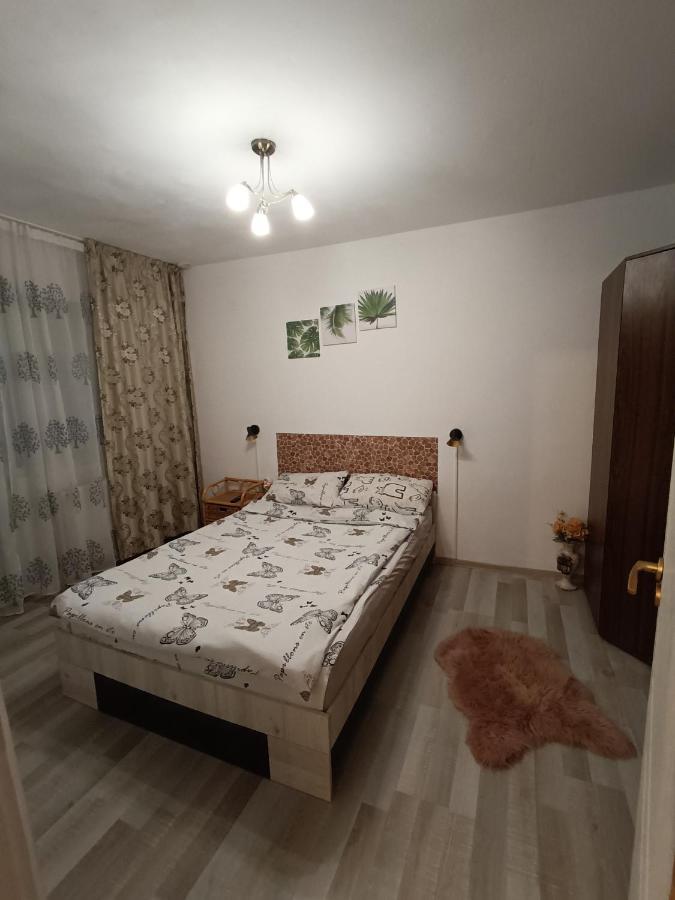 Central Bacău Buitenkant foto
